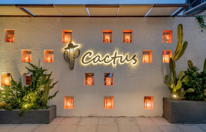 Cactus Restoran